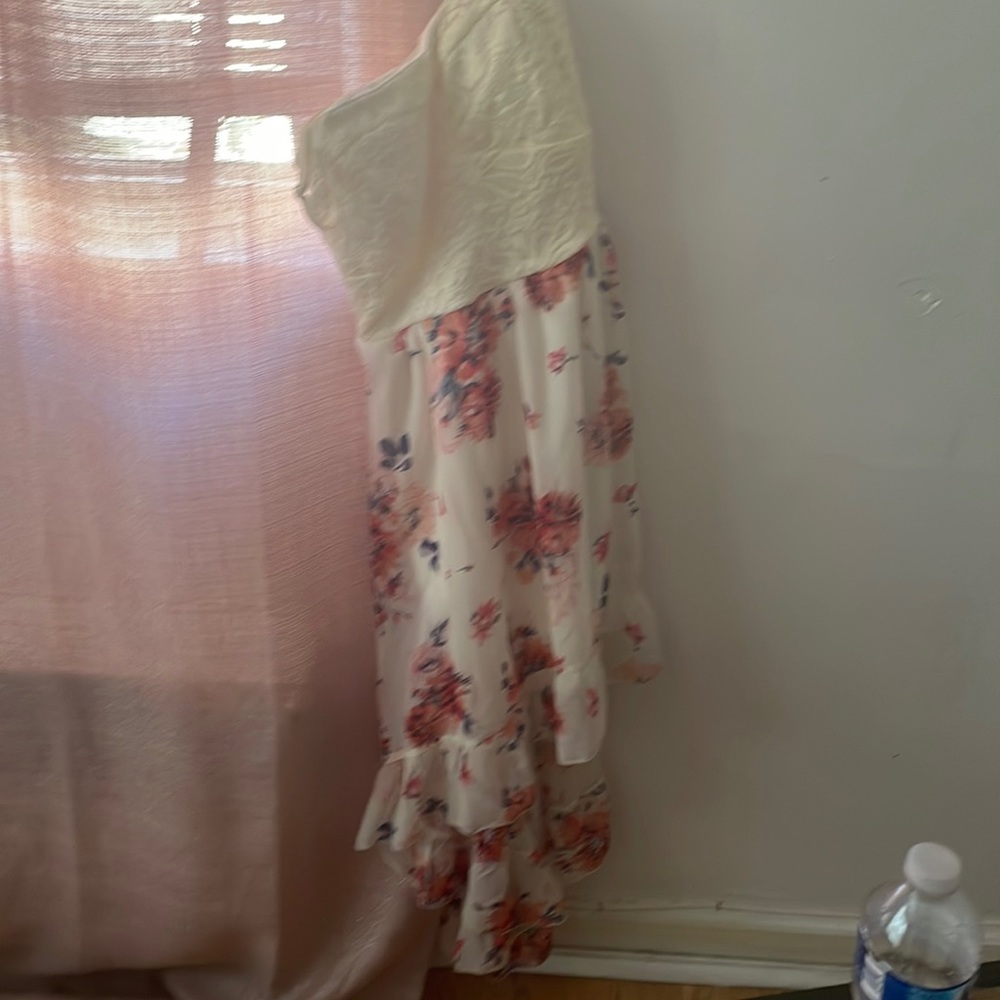 Lace and Floral Dress